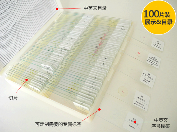 朔州100种混合类动植物生物切片套装