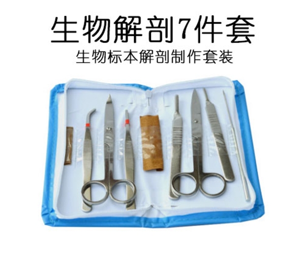 葫芦岛解剖七件套