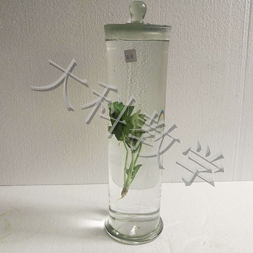 植物标本厂家